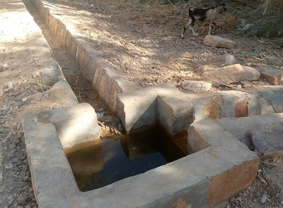 Gestion de la ressource en eau dans les palmeraies de Faya