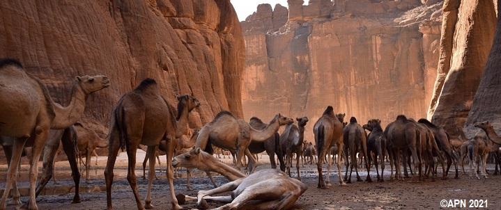 Etude sociologique au Guelta d’Archeï