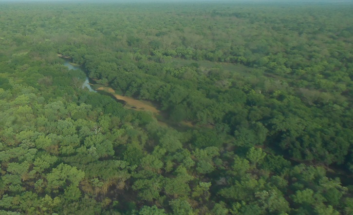 Le Parc Manovo en République Centrafricaine : une collaboration transfrontalière essentielle