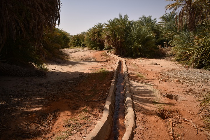 Palissades et canaux d’irrigation de Kirdimi : un exemple d’organisation!